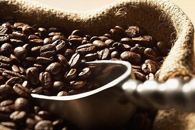 《圣兽之王》将提供香草社历史最大内容分量